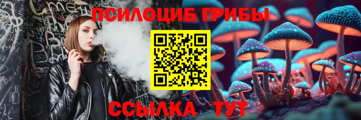 Псилоцибиновые грибы ЛСД  Вход с VPN  Хабаровск  Псилоцибиновые грибы GOLDEN TEACHER 